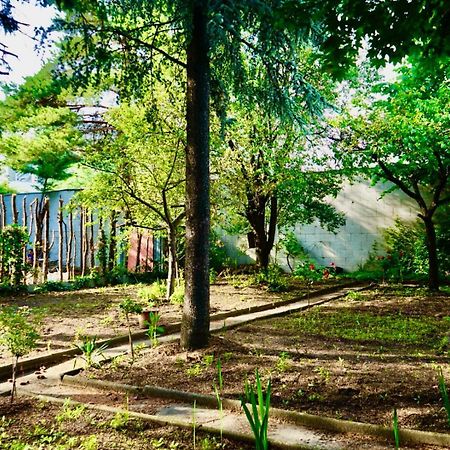 U6 Schoepfwerk Hostel 1 เวียนนา ภายนอก รูปภาพ